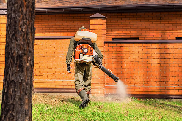 Trusted Ant Control service in Morrisville, PA - Nex Pest Control